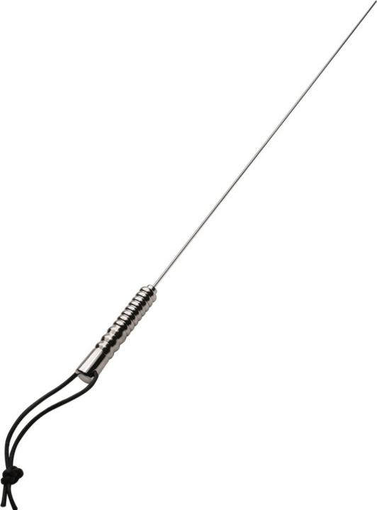 Metal Hard Stainless Steel Rod Bdsm