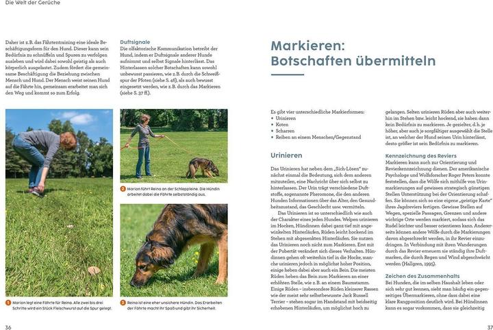 Actual product image Kosmos Sprachkurs Hund mit Martin Rütter (German, Martin Rütter, Andrea Buisman, 2022)