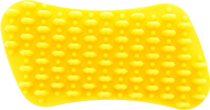 Actual product image Pet+Me Brush (Dog, Cat)