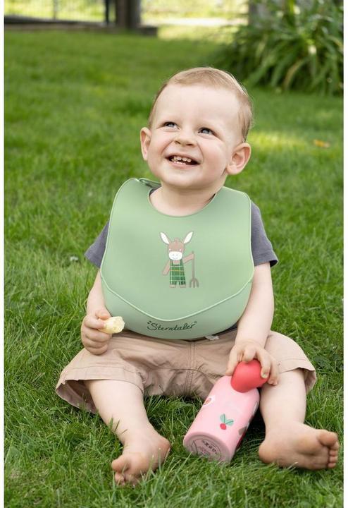 Actual product image Sterntaler Bib silicone Dino Rexi 32 x 24 cm (4 months)