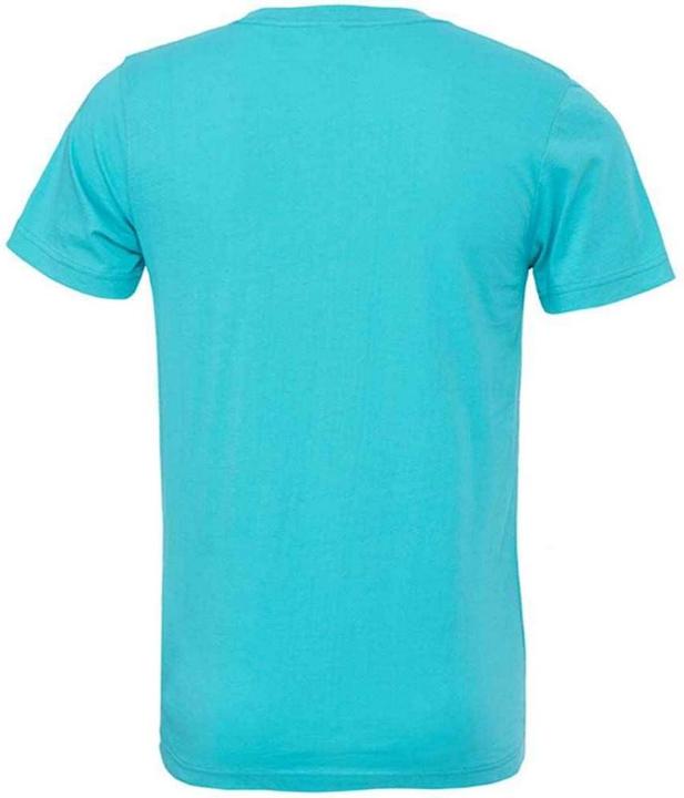 Actual product image Bella Canvas Adults Unisex Crew Neck T-Shirt (L)