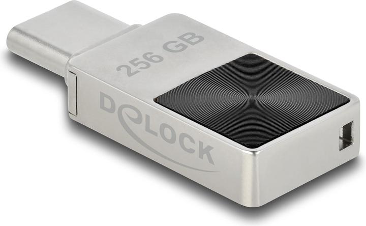 Actual product image Delock Mini (256 GB, USB-C)
