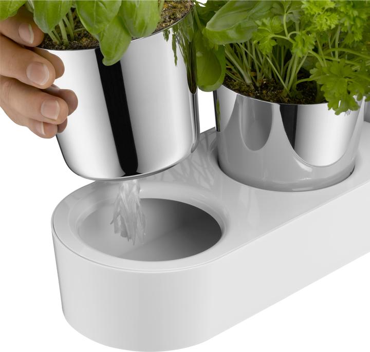 Actual product image WMF herb garden (14 cm)
