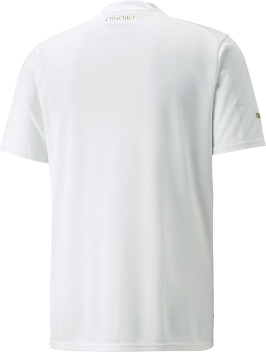 Actual product image Puma FSS Away Shirt Replica (L)