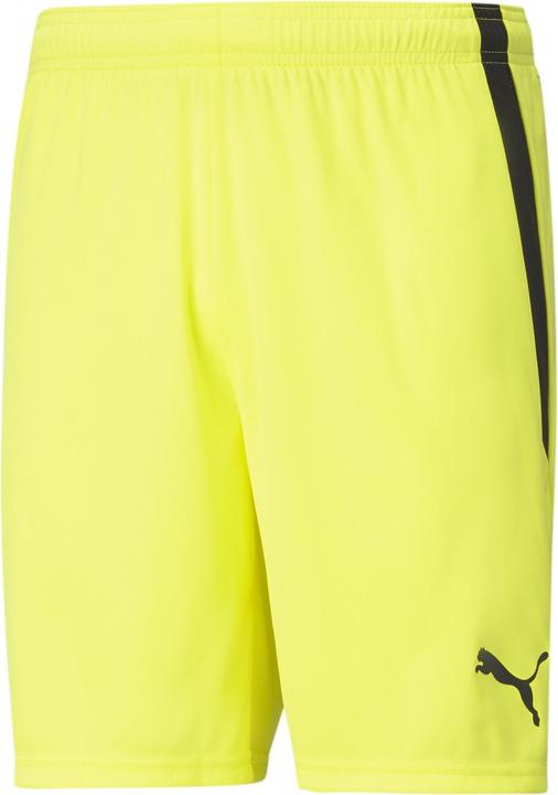 Actual product image Puma teamLIGA Shorts-704924 (60, 3XL)