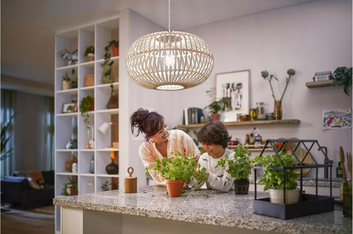 Immagine prodotto Philips LED classico (E14, 2.30 W, 485 lm, 1 x, A)