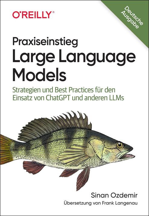 Praxiseinstieg Large Language Models (German, Sinan Ozdemir, 2024)