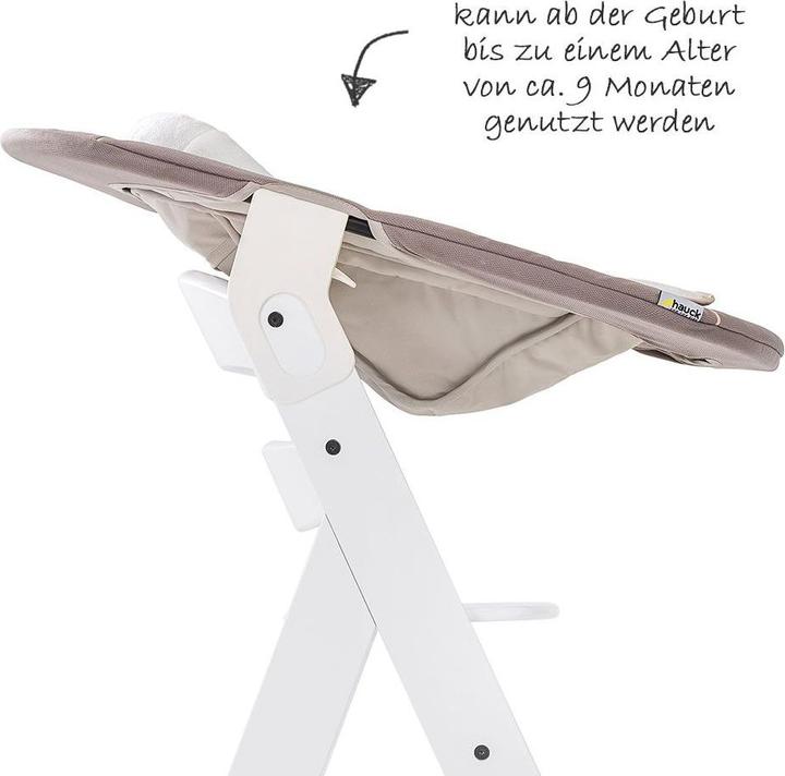 Actual product image Hauck Alpha Bouncer 2in1