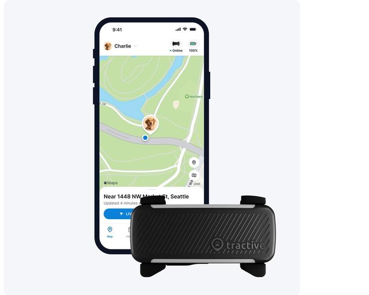 Actual product image Tractive GPS Tracker Dog 6 (Dog, Walks)