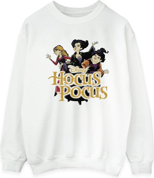 Actual product image Universal Textiles Womens/Ladies Strike A Pose Sweatshirt (XXL)