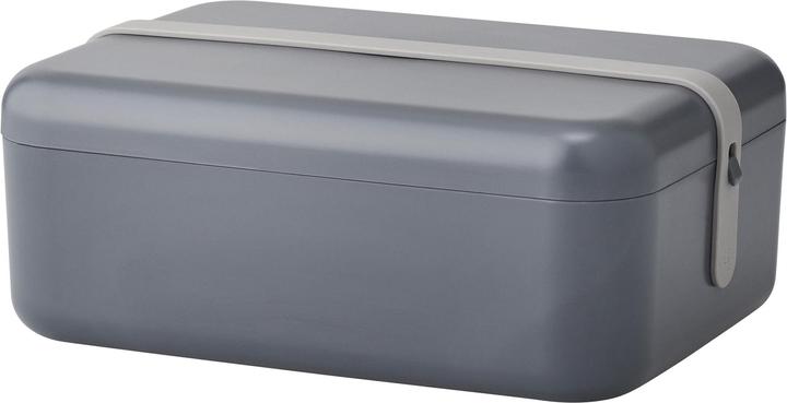 Actual product image Rig-Tig by Stelton Keep-it Cool Lunchbox