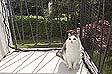 Produktbild Windhager Katzenschutz-Netz