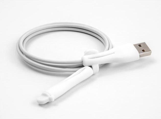 Actual product image Delock Dust cover for USB Type-A plug and Apple Lightning™ plug set 2 pieces white (Cable reel)