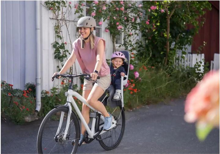 Actual product image hamax Caress (Carrier, Seat tube)