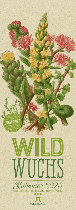 Wildwuchs - Botanische Illustrationen - Graspapier-Kalender 2025 (24 x 66 cm, Harter Einband, Deutsch)