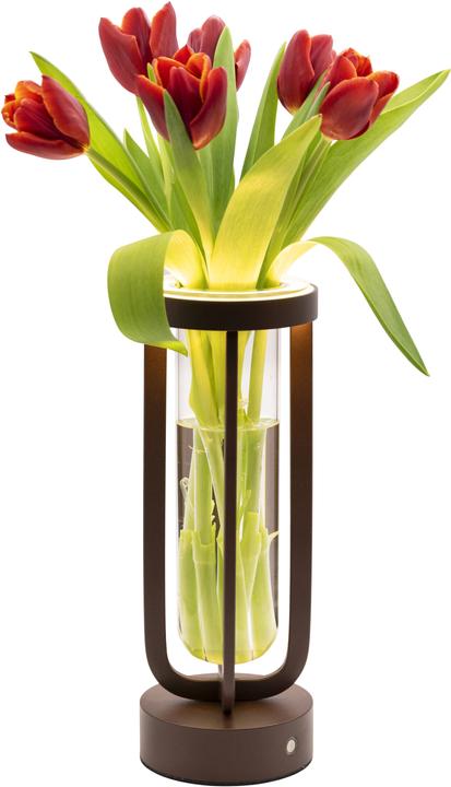Actual product image Securit FLORENCE table lamp (50 lm)