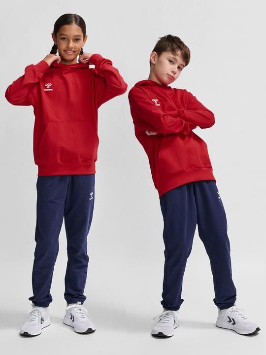 Actual product image hummel HMLGO 2.0 HOODIE KIDS (116)