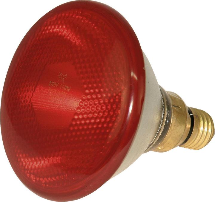 Kerbl Infrared economy lamp PAR 38, 100 Watt, red (100 W)