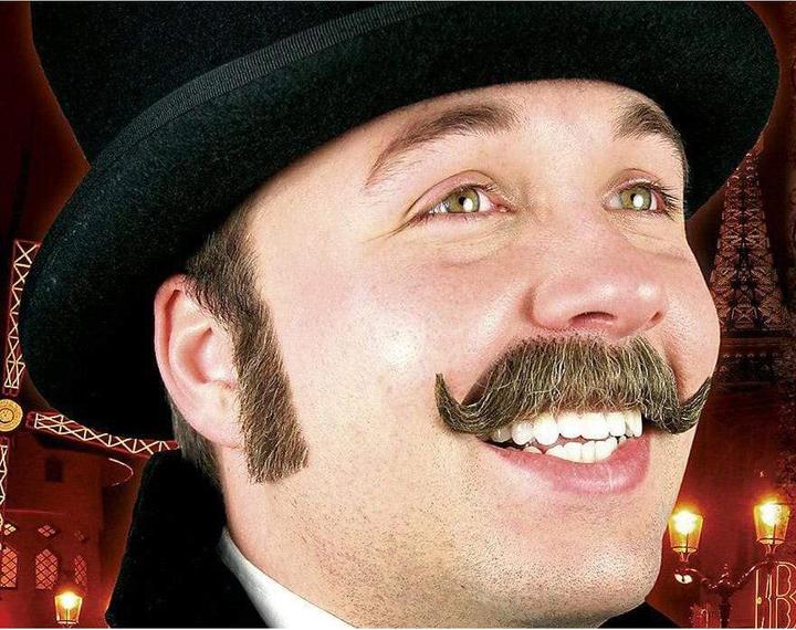 Actual product image Metamorph Sideburns