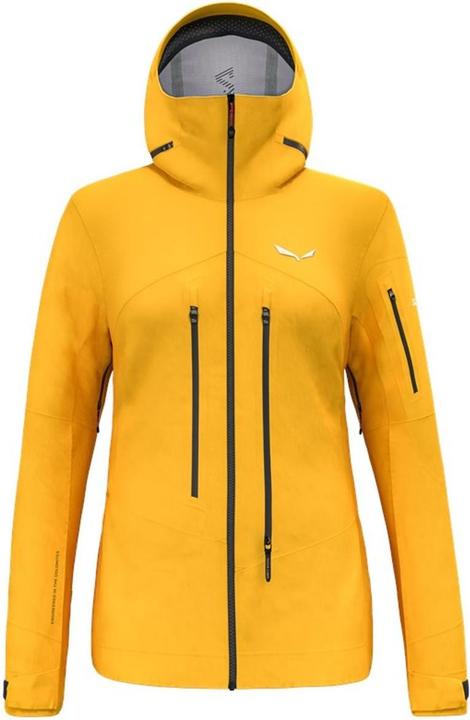 Salewa Ortles Gtx Pro Jacket W
