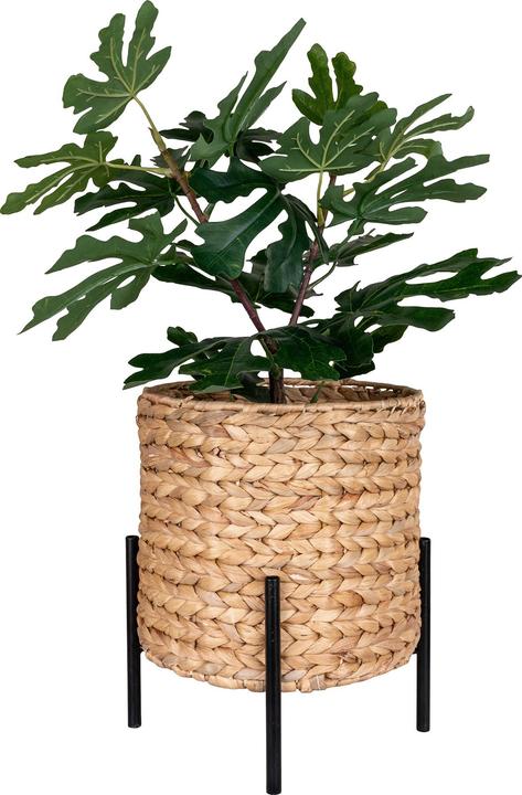 Actual product image House Nordic Antas (26.50 cm)
