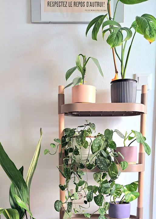 Actual product image CitySens Plant shelves
