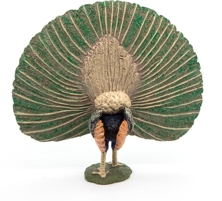 Actual product image Papo Peacock