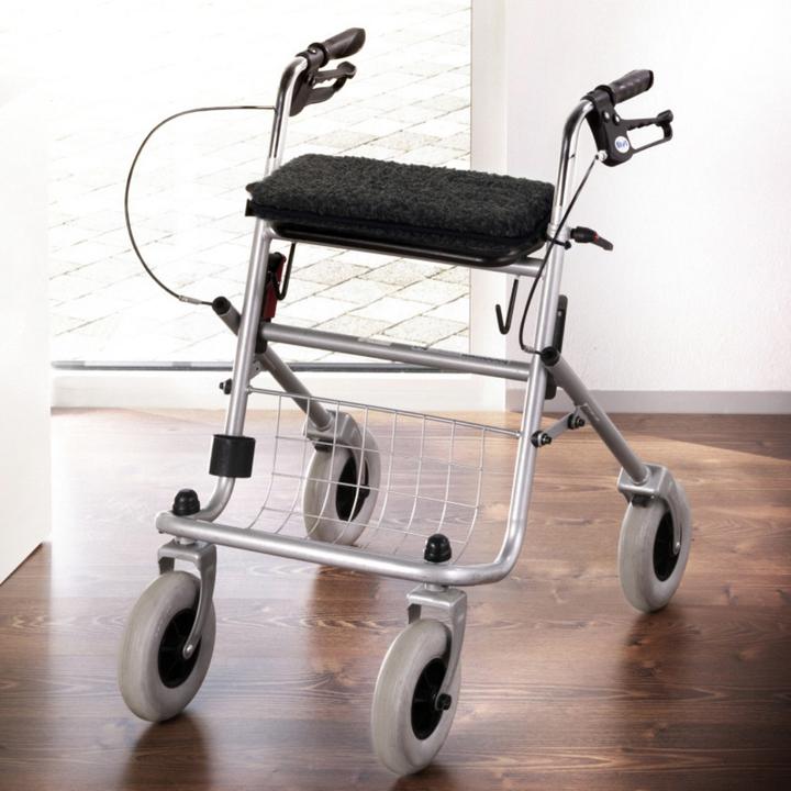 Actual product image Erwin Müller Rollator cushion (Uptick)