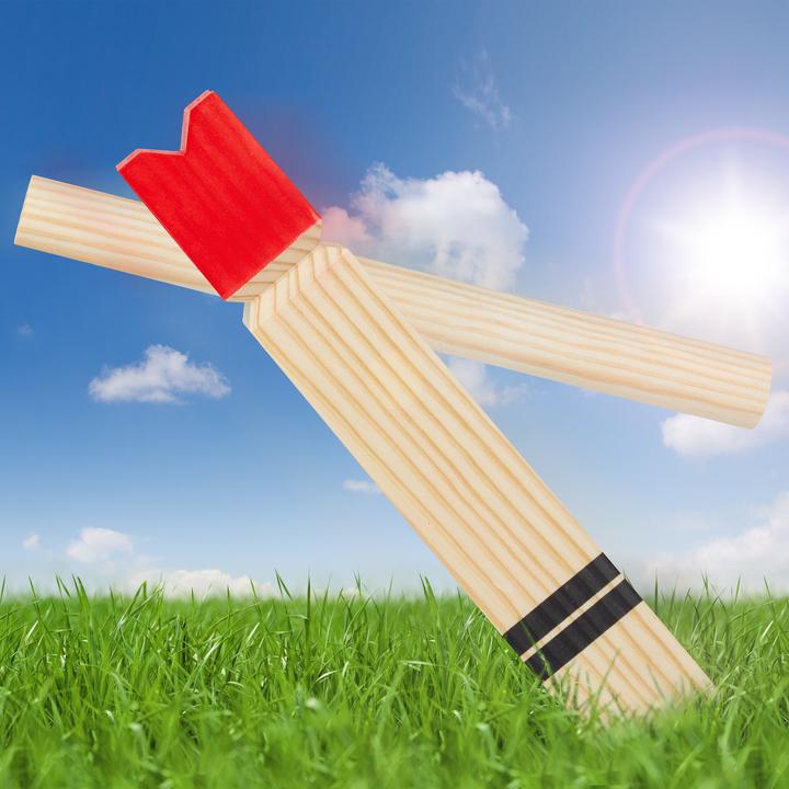 Actual product image Relaxdays Kubb game