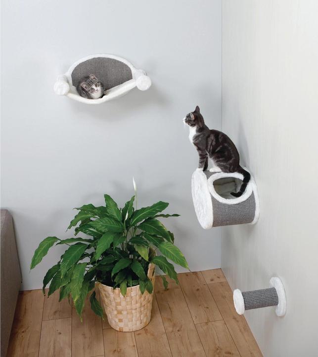 Image du produit Trixie Marche à suivre (22 cm, Gris, Blanc)