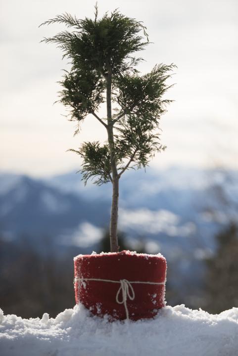 Immagine prodotto Windhager tappeto di feltro