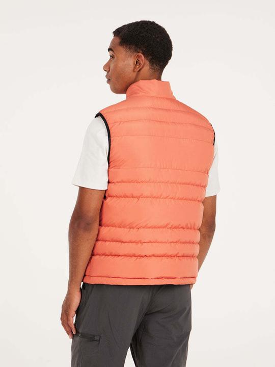 Image du produit Protest Bodywarmer Bramptoon (L)