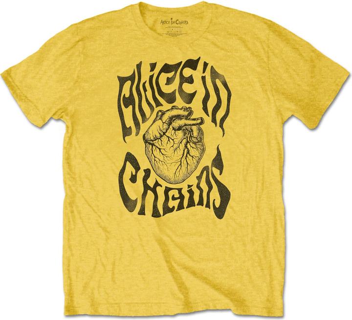 Alice In Chains Transplant
