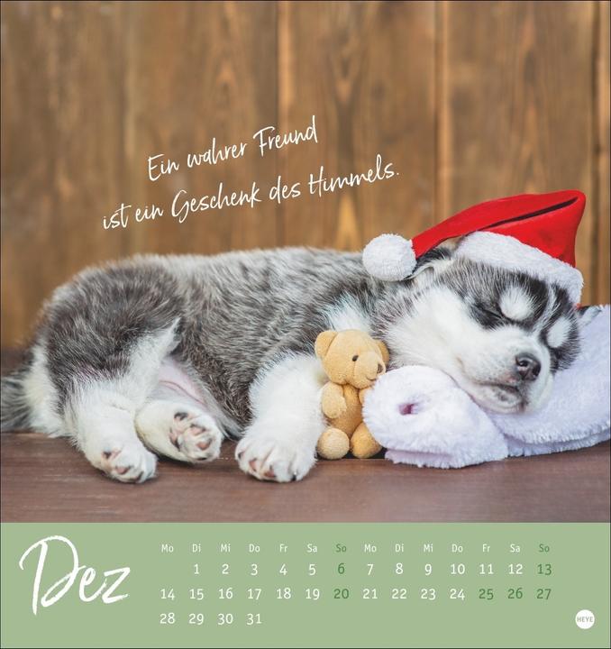 Image du produit Ziemlich beste Freunde Postkartenkalender 2026 - Für immer dein (Couverture rigide, Allemand)