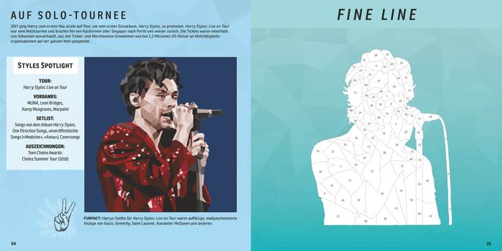 Actual product image Tribute Edition Harry Styles mosaic sticker book