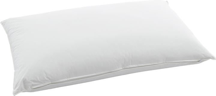 Image du produit Swiss Dream by billerbeck CLC 90 Oreiller de la nature (60 x 90 cm)