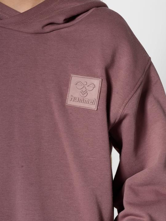 Image du produit hummel hmlCLEAN HOODIE (116)