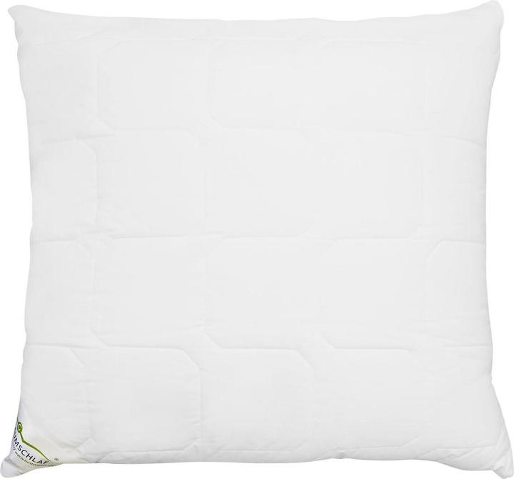 Actual product image Traumschlaf Thinsulate layer cushion (40 x 80 cm)