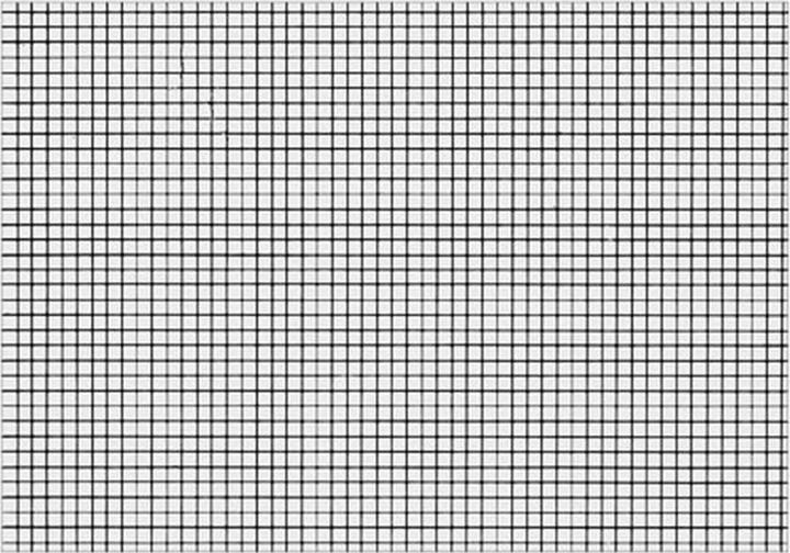Image du produit Biella Fiches quadrillées A8 (A8, 200 g/m², 200 x)