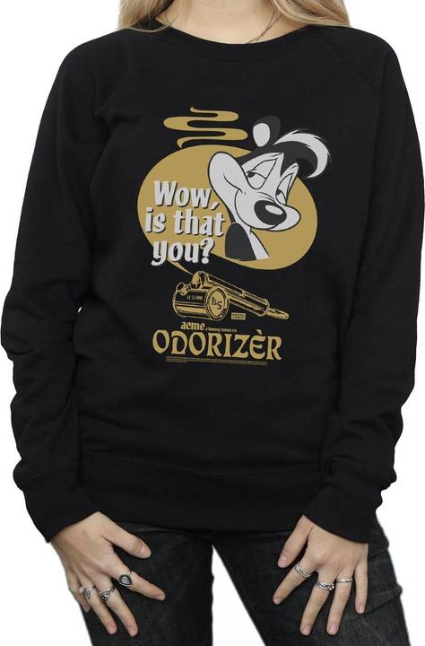 Produktbild Looney Tunes Odorizer Sweatshirt (XL)