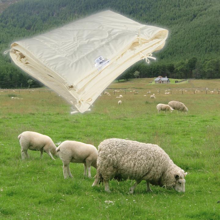 Produktbild Erwin Müller Bio Schurwolle (1300 g, 200 x 220 cm)