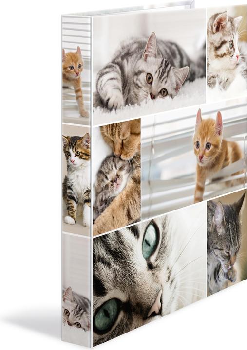 Actual product image HERMA Cats (A4, 35 mm, 1 Piece)