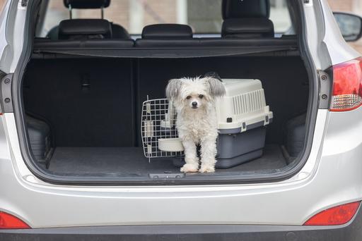 Actual product image Karlie Nomad (Dog, Cat, Lockable)