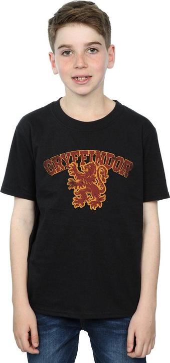 Actual product image Boys Gryffindor Sport Emblem T-Shirt (140, 146)