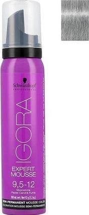 Produktbild Schwarzkopf Professional Igora Expert (100 ml, Schaumfestiger)