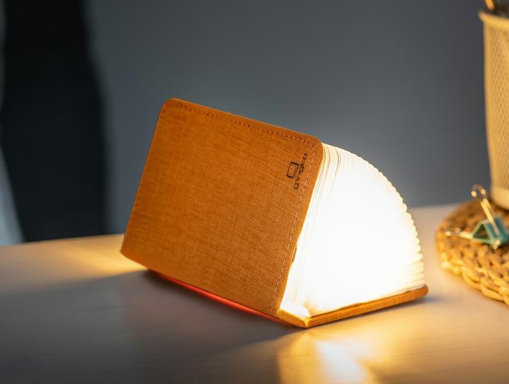 Actual product image Gingko Mini Smart Book Light