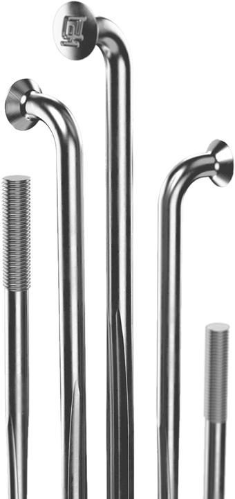 Immagine prodotto DT Swiss Raggi Complite 2.0/1.75/2.0x1.3 Nero 20 pz.