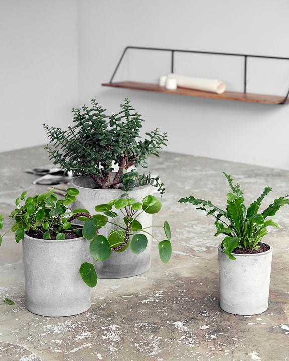 Image du produit House Doctor Ave (31 cm)