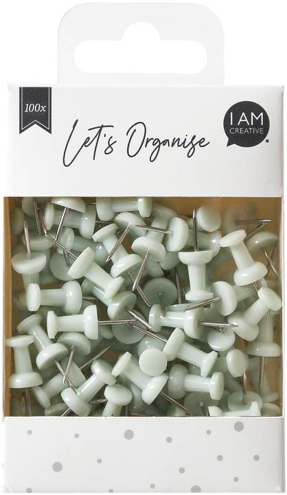 Actual product image I Am Creative Pin, Push Pins