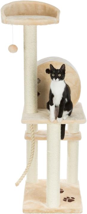 Actual product image Trixie Cat tree Salamanca (138 cm, Beige)